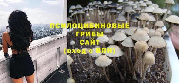 spice Медногорск