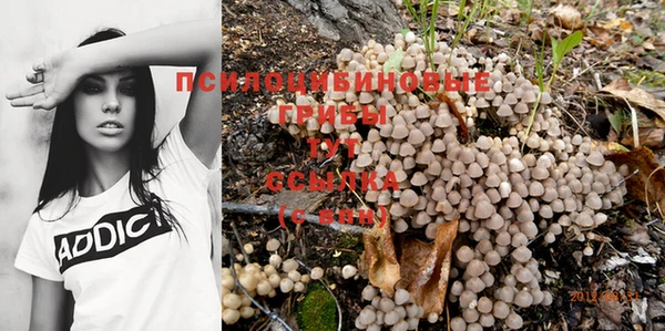spice Медногорск