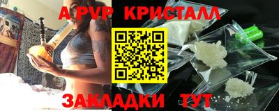 стафф Донской
