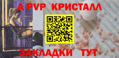 стафф Донской