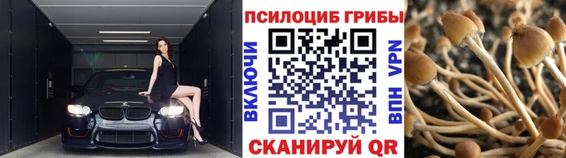 Псилоцибиновые грибы MAGIC MUSHROOMS  МЕГА зеркало  Кузнецк  наркотики 