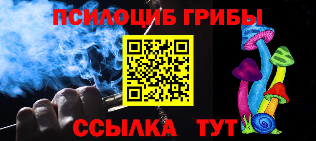 Галлюциногенные грибы Psilocybine cubensis  Вход с VPN  Кузнецк 